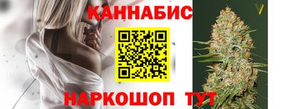 индика Рыбинск