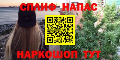 индика Рыбинск